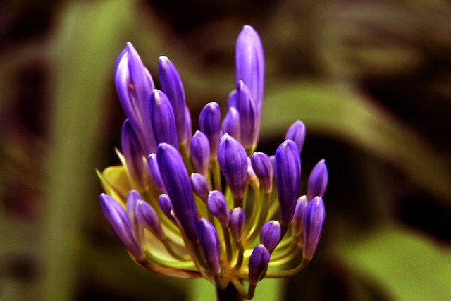 行侠全队的 行侠全队的