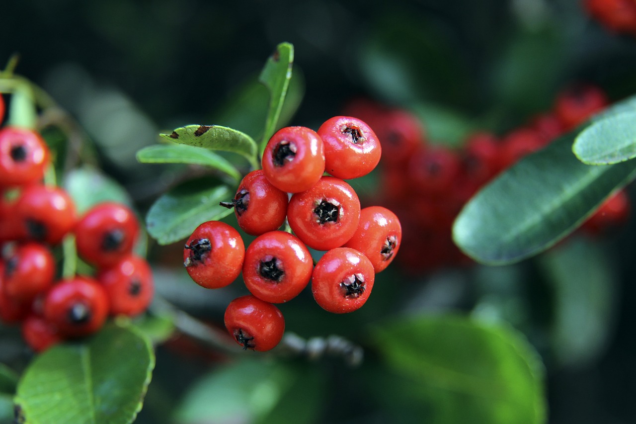 凭借速度惊 凭借速度惊