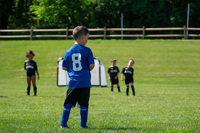 供了一个可 供了一个可